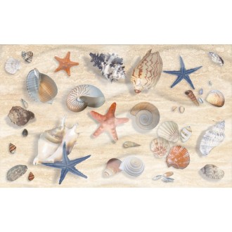 Декоративный массив Аликанте Ракушки 25х50