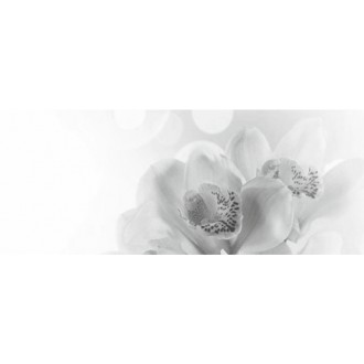 Декор Элегия 7 тип 1 20х50