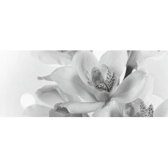 Декор Элегия 7 тип 3 20х50