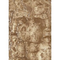 Изабель Низ 25х35