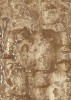 Изабель Низ 25х35
