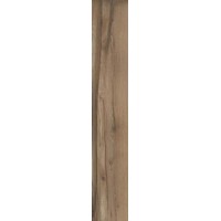 КА-00015825 0002741 NEST OAK RET. 20x120