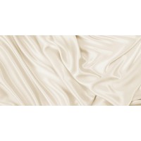 Камелия бежевая 250х500