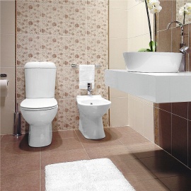 Мишель Керамин