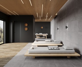 Betonica Grey PRO Laparet