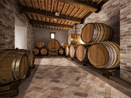 Bristol RHS (Rondine) Ceramiche