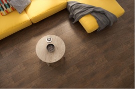 DISCOVERY Paradyz