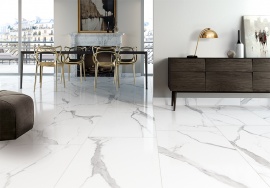 Extremewhite Cerdomus