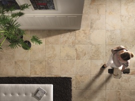 Instone Edimax