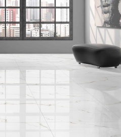 Silver White BELLEZA