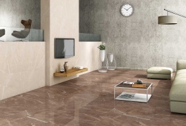 Spiderweb Colortile