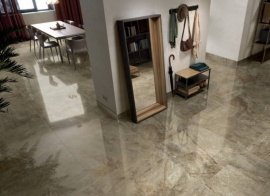 TAMESIS Porcelanite Dos