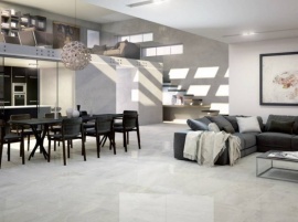 TAMESIS Porcelanite Dos
