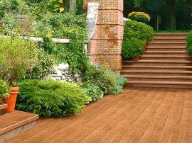 Tropical Forest Natucer