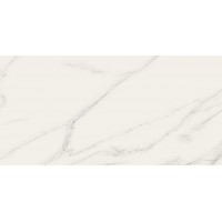 Керамогранит 00222 CARRARA Lev Rett 30х60
