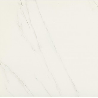 Керамогранит 00374 CARRARA MAT RET 60x60