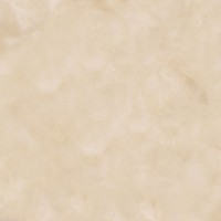 Керамогранит 0075 TER.AVORIO 20х20