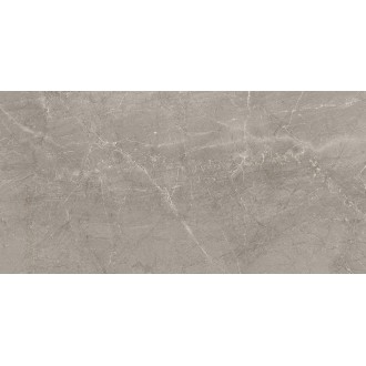 Керамогранит 02579 MAJESTIC SUPREME GREY LEV/RET 60x119.5