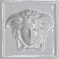 0262672 MEDUSA 3D GRIGIO 10x10