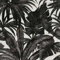 0262768 Palme B Bianco/Nero 78x78