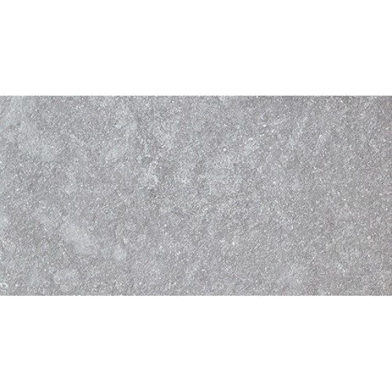 Керамогранит 073026 BLUESIDE LIGHT GREY RETT 60X30