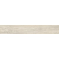 076029 Amazon ARARA RETT. 20X120