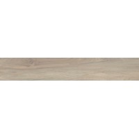 076033 Amazon MATIS RETT. 20X120