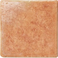 Serenissima CIR 1012603 Rosso Persia 10x10