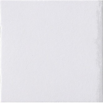 Керамогранит 1036634 BIANCO 10x10