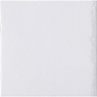 Керамогранит 1037311 BIANCO LAPPATO 20x20