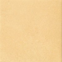 Керамогранит 1037316 GIALLO LAPPATO 20x20