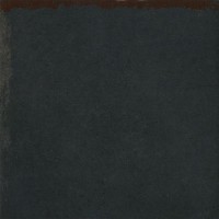 Керамогранит 1037318 NERO LAPPATO 20x20