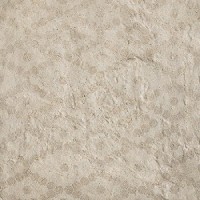 Керамогранит 1045392 BIARRITZ ECRU WAIKIKI 10x10