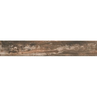 1058461 Kentucky Sassafras 15х90