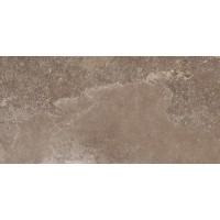 Керамогранит 172011 Des Alpes Naturale rett. 47.8x97