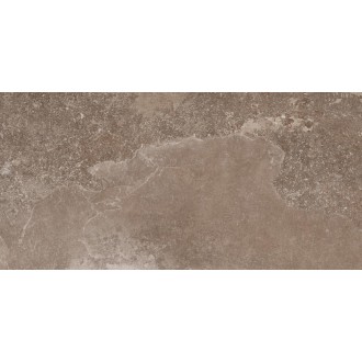 Керамогранит 172011 Des Alpes Naturale rett. 47.8x97