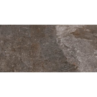 Керамогранит 172021 Des Alpes Grigio rett. 47.8x97