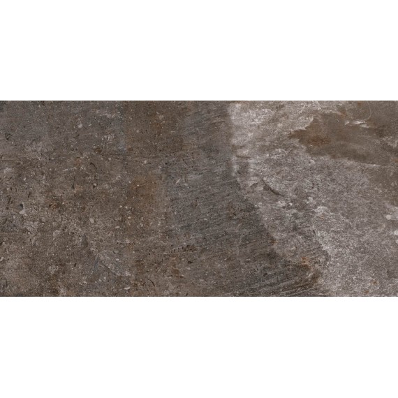 Керамогранит 172021 Des Alpes Grigio rett. 47.8x97