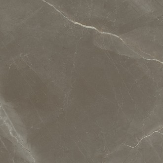 1804 Gris Rectificado Pulido 98x98