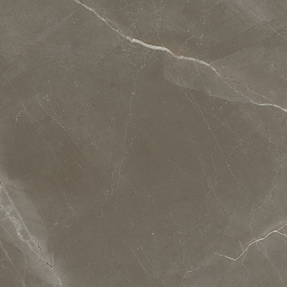 1804 Gris Rectificado Pulido 98x98