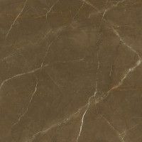 1804 Tabaco Rectificado Pulido 98x98