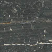 Керамогранит 187970 Leonardo Black Polished 90x90