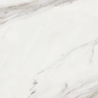 Керамогранит 188204 Calacatta Superwhite Rec 90x90