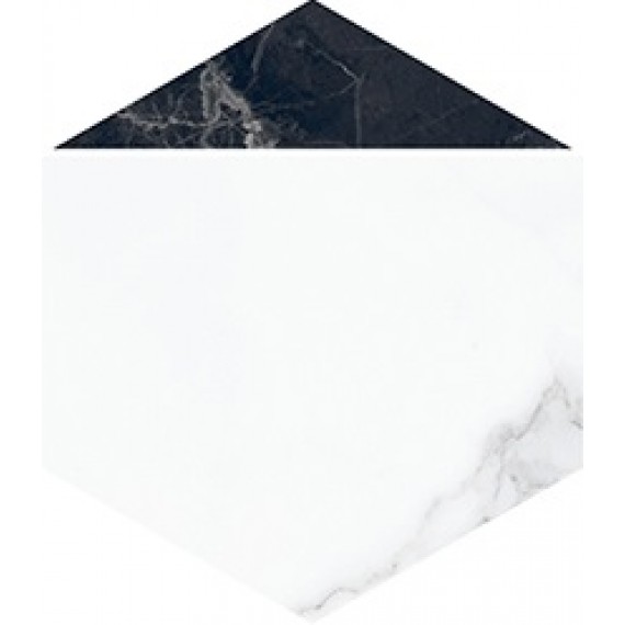 Керамогранит 2043ZN1P Декор Nocturne White FLPR 20х23
