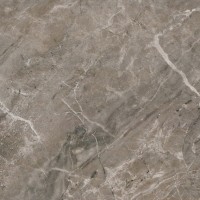 Керамогранит 240016 MARBLE GRIGIO ONICE RETTIFICATO LAPPATO 58,5x58,5