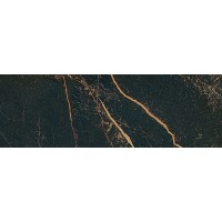 Керамогранит 240033 MARBLE NERO S.LAURENT LAPPATO Rect. 19,5x58,5