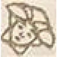 Керамогранит 240761 TOZZETTO MEDUSA BIANCO 2,7x2,7