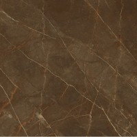 262503 Fondo rettificato Emote Pulpis Marrone 78х78