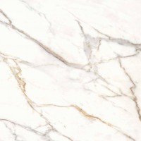 36CL20R Calacata Gold R 120x120