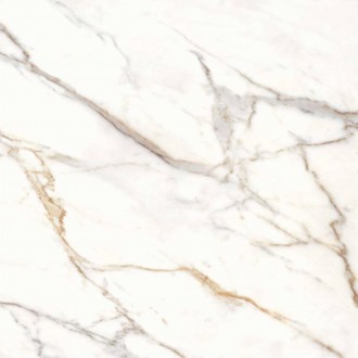 36CL20R Calacata Gold R 120x120